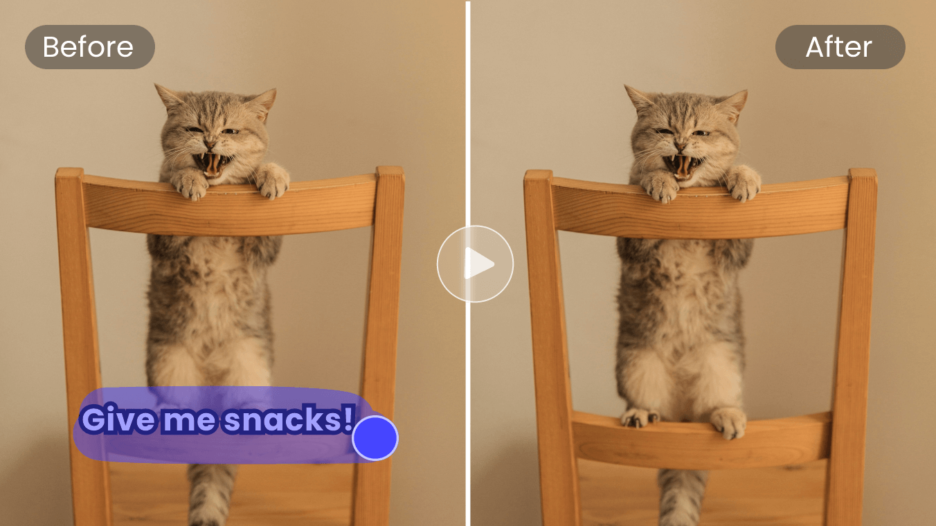 Remove cat meme text watermark to make new meme video
