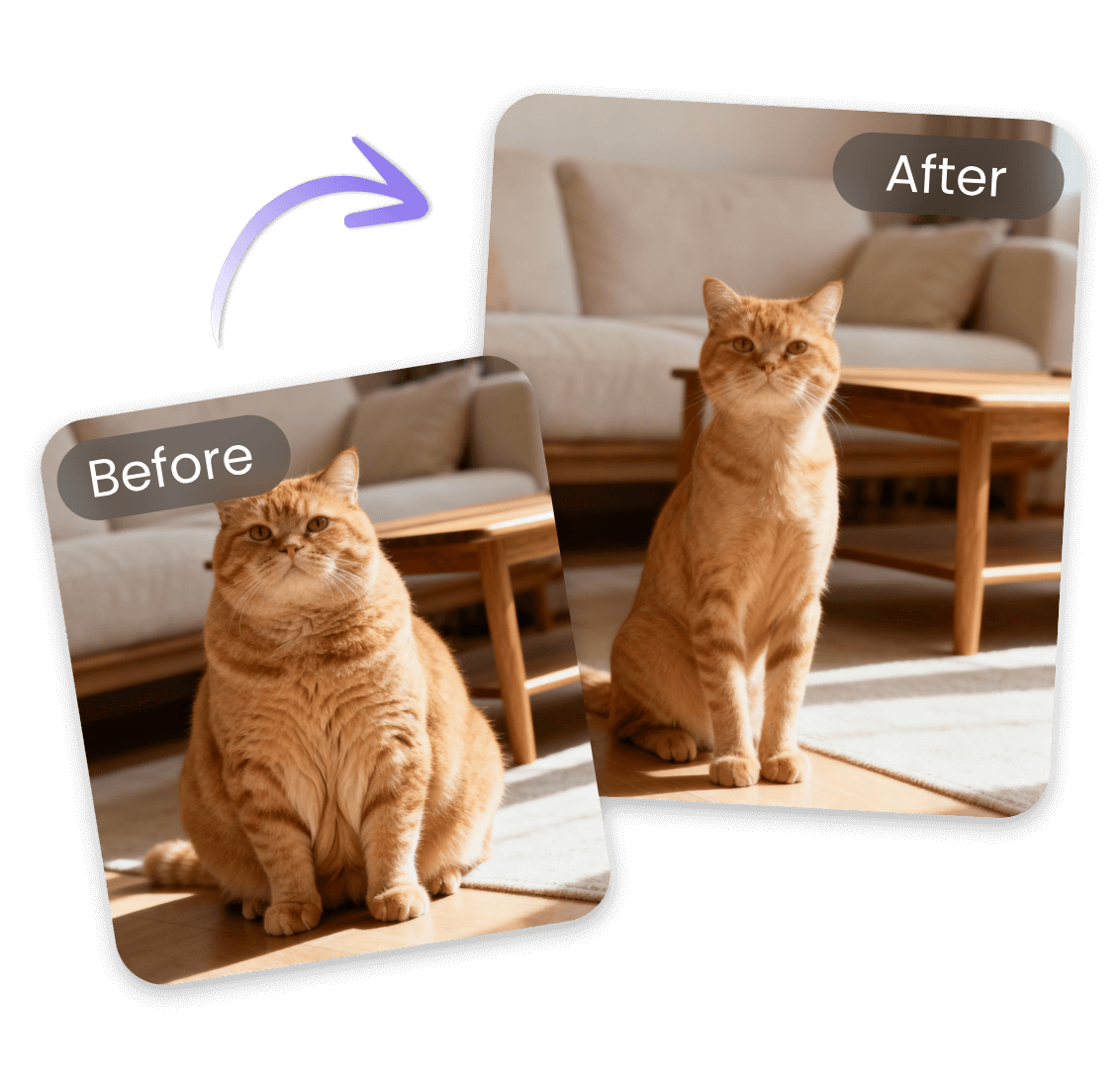 See the skinny version of your pets