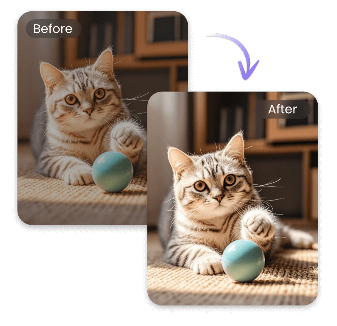 Sharpen images to improve photo clarity featuring a car playing with a ball