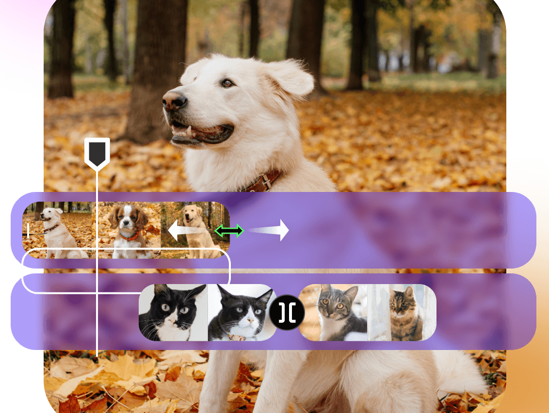 Trim and rearrange videos of pets to make a engaging video