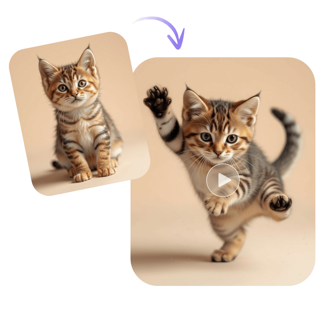 Turn a photo of a cat into ai cat dance video