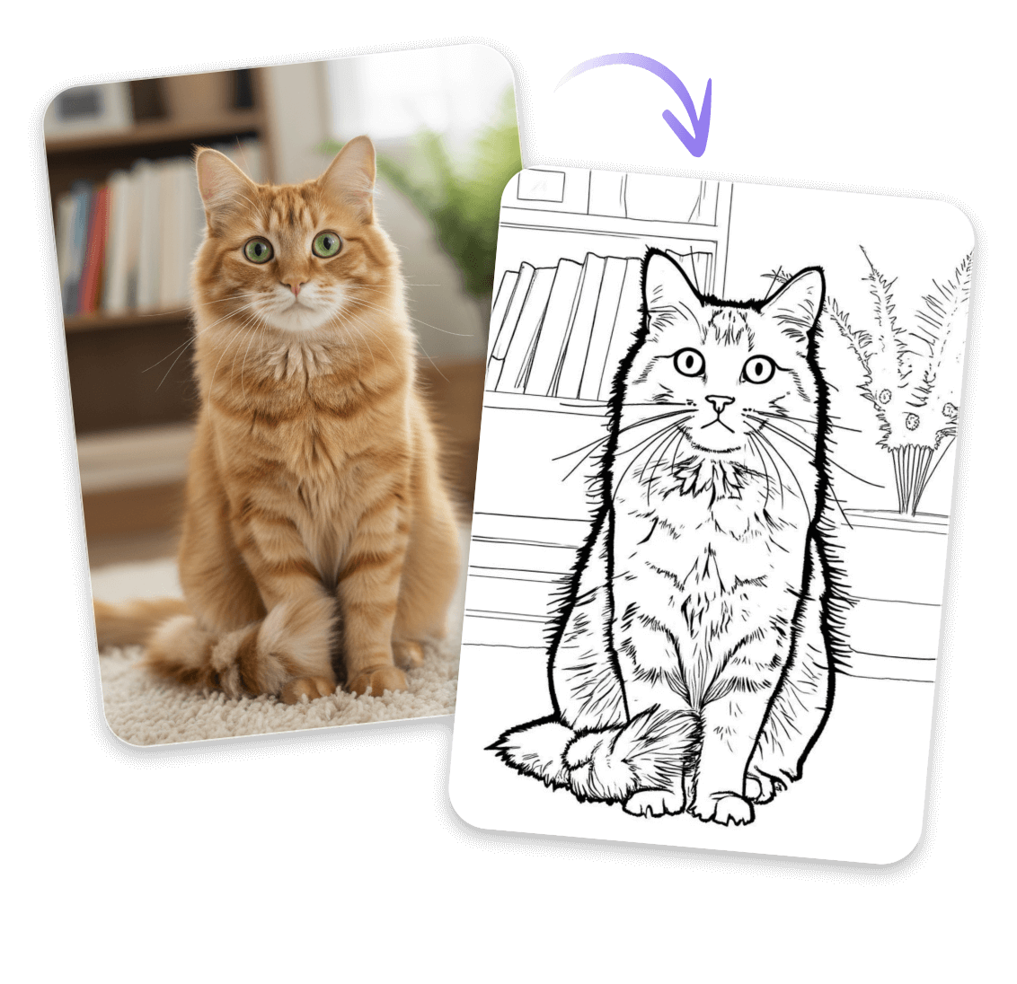 Turn a photo of an orange cat into line drawing