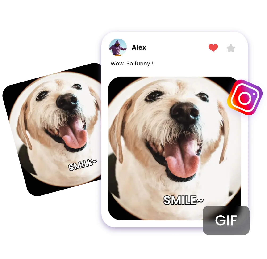 Turn an ai dog meme into a gif and share it to your social media platform