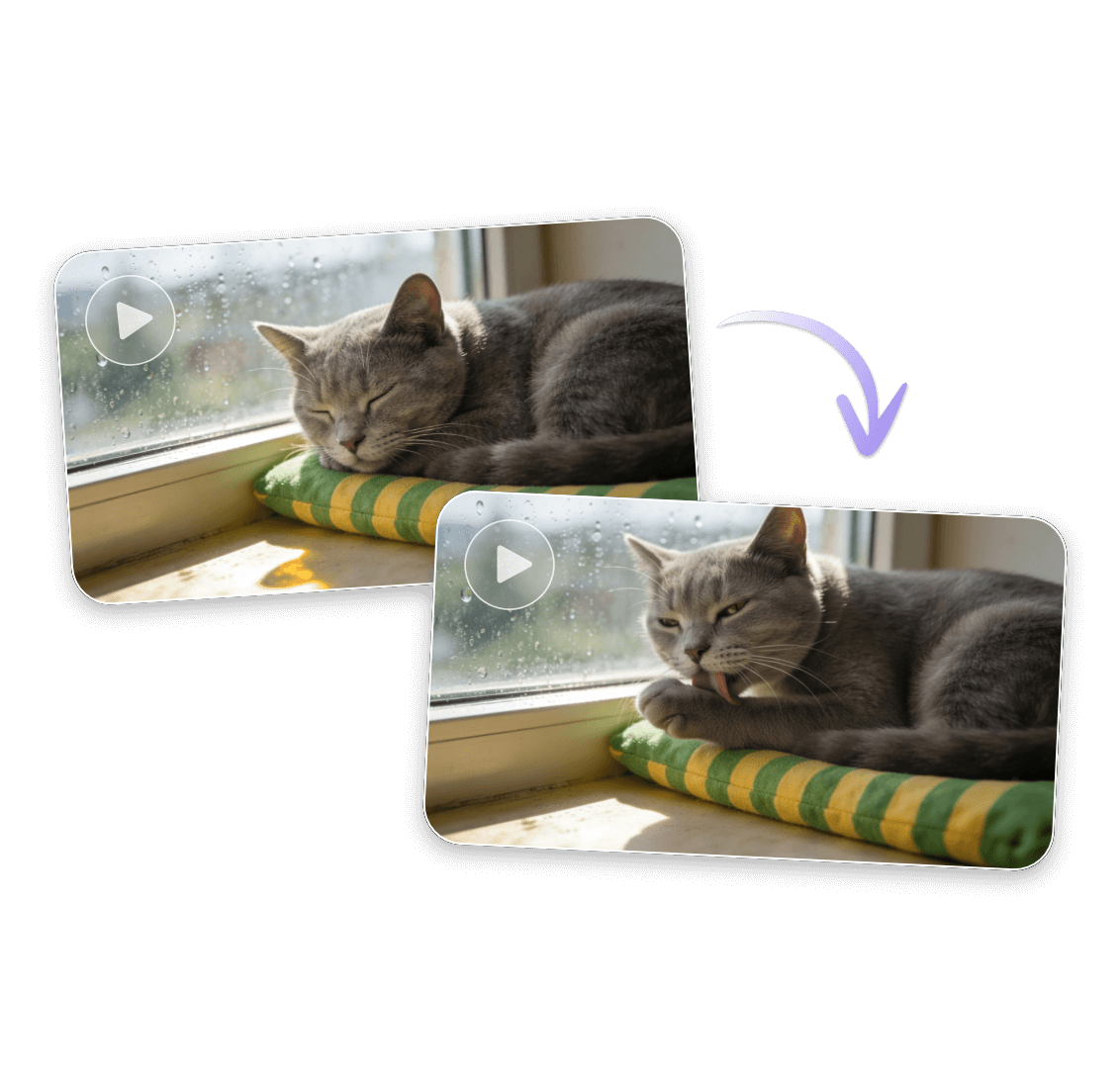 Turn the still wallpaper into a live wallpaper