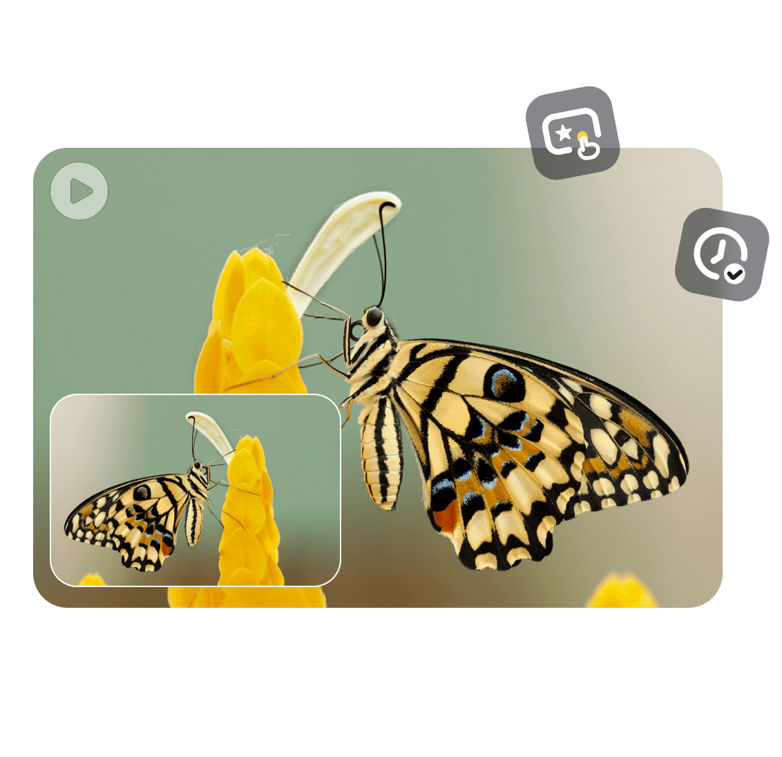 Use o Clipfly para espelhar rapidamente um vídeo de uma borboleta amarela online