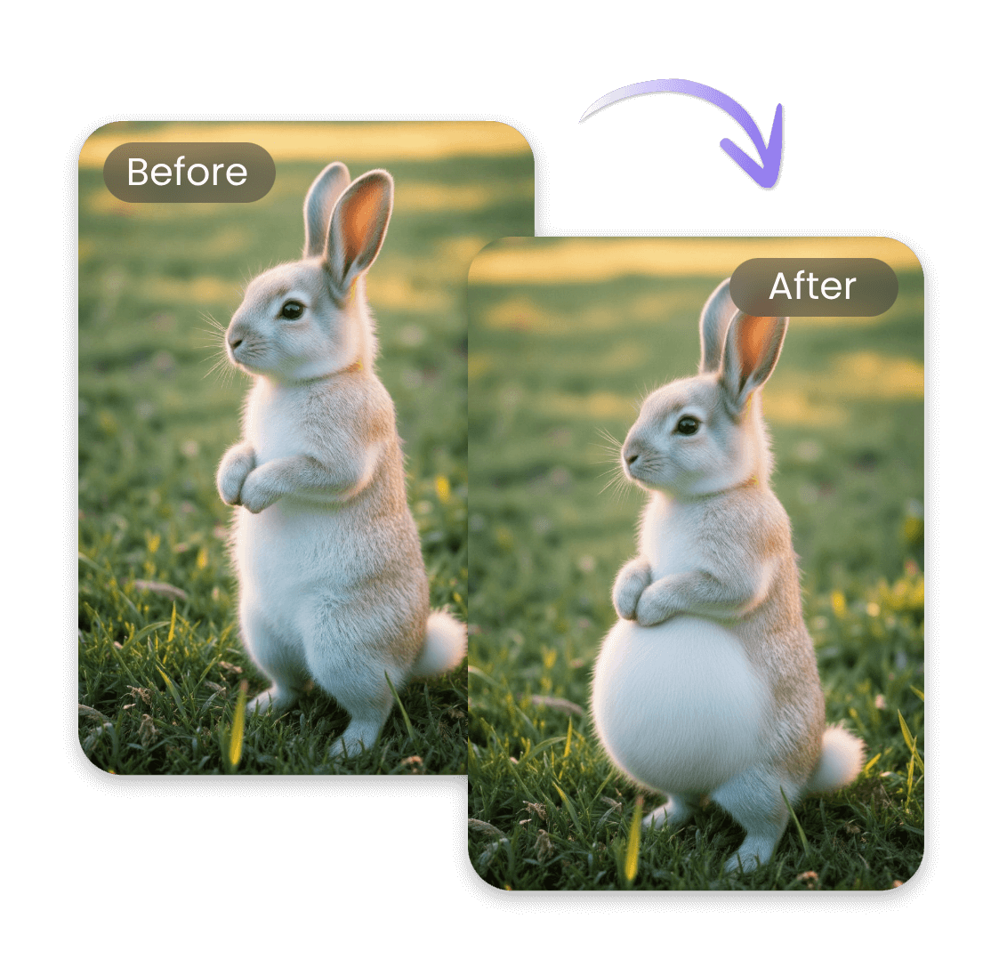 Visualize animal pregnancy with AI pregnancy generator